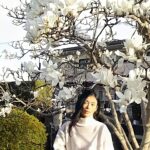 『39歳の転職活動失敗! その先に得たもの』N・K 会社員