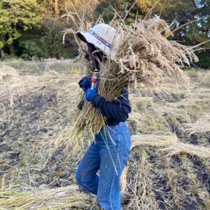 『都会っ子の私が人口2000人の村に移住した理由』高野優海 檜原村地域おこし協力隊