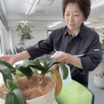『65歳、パート3カ月で契約社員の主任に昇格』渡辺和子 東神電工株式会社 検査課 主任